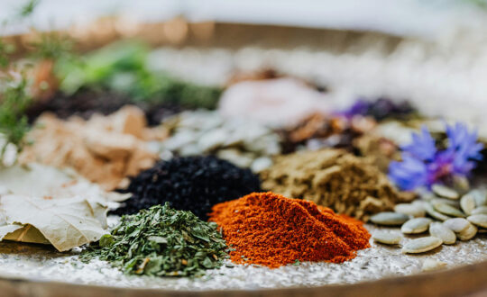 Fitoterapia, plantas medicinales, en centro de formación en salud integrativa ISMET en Barcelona