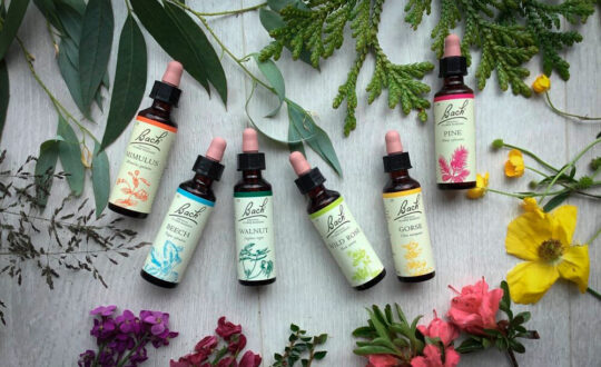 curso de Naturaleza tipológica y flores de Bach, en escuela ISMET de Barcelona