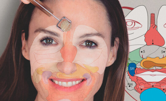 Facioterapia I: Dien Chan'reflex