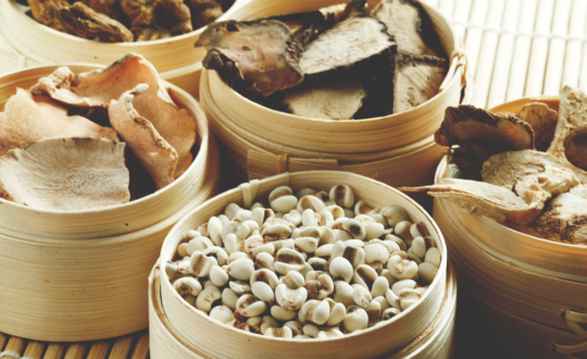 Postgrado-farmacopea-China-avanzada-aplicación-clínica-online-ismet