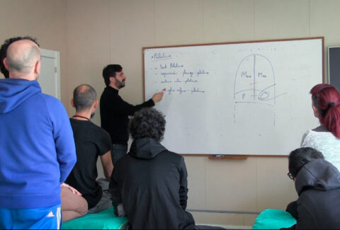curso de osteopatía craneal en centro de formación en salud integrativa ISMET Barcelona