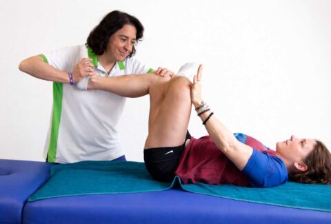 Therapeutic Stretch, técnicas de estiramiento pasivo, fnp, miofascial para terapeutas