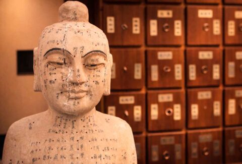 Programa formativo en acupuntura y medicina tradicional China