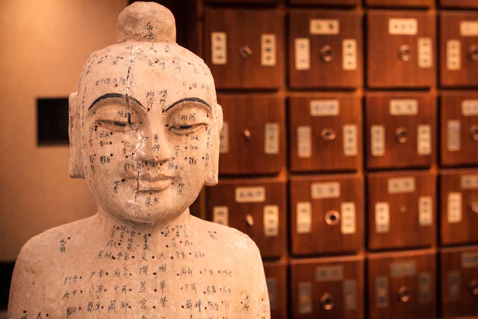 Programa formativo en acupuntura y medicina tradicional China