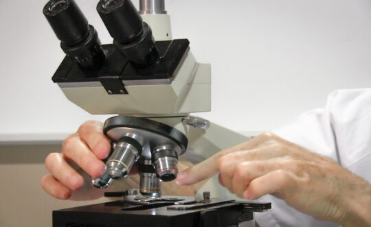 Técnica microscopia HLB