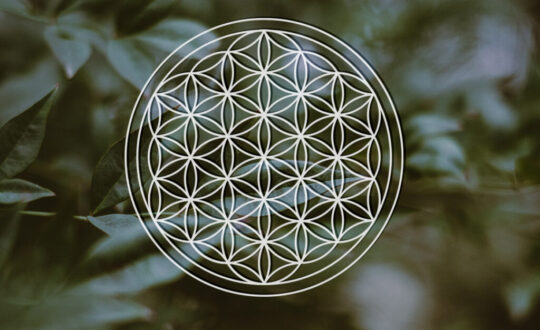 Geometría sagrada y estrategia terapéutica