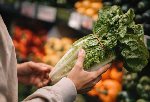Nutrición y alimentación saludable en centro de formación ISMET Barcelona