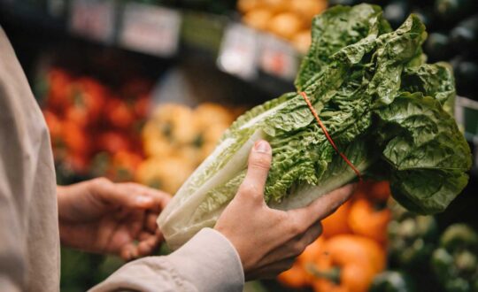 Nutrición y alimentación saludable en centro de formación ISMET Barcelona