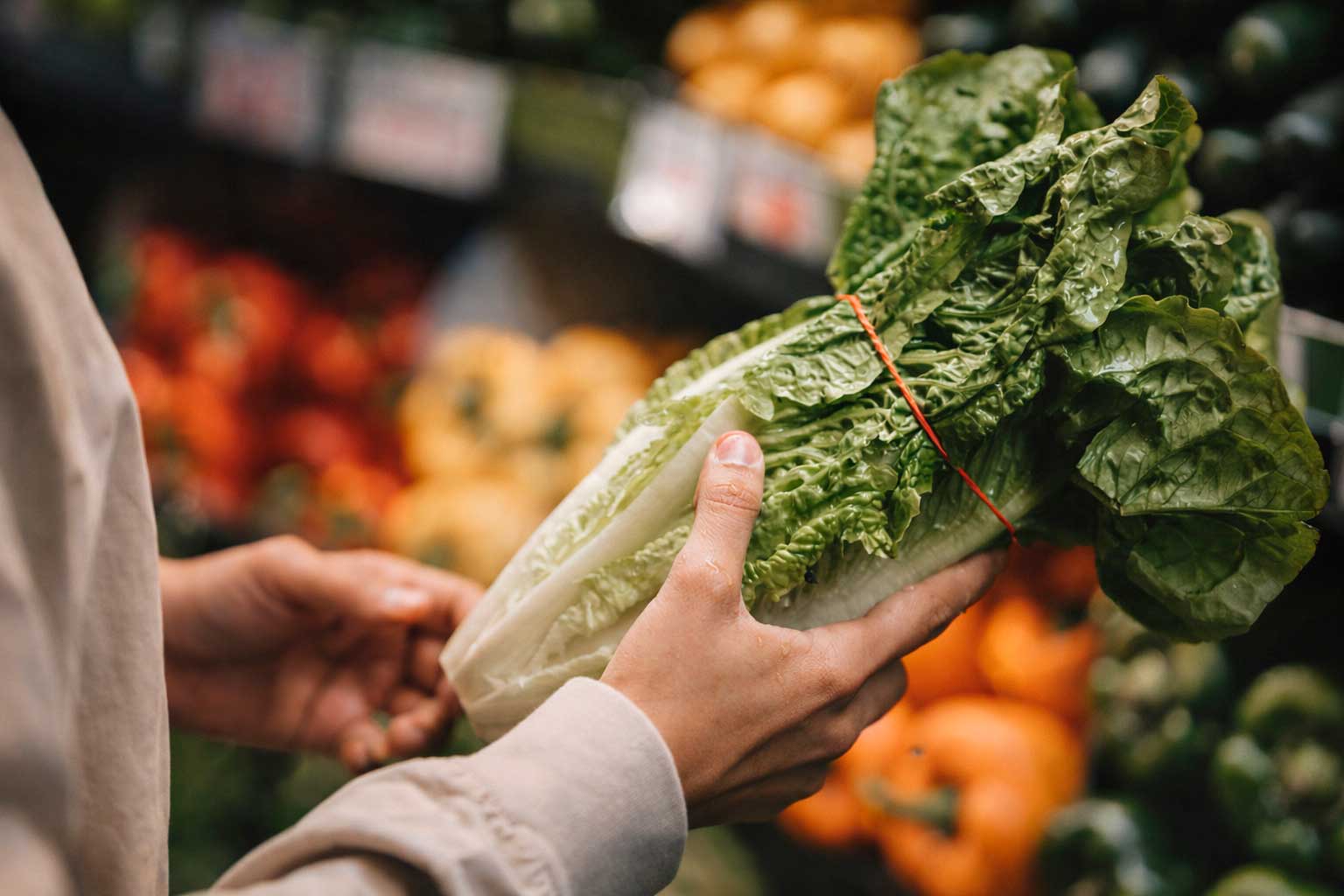 Nutrición y alimentación saludable en centro de formación ISMET Barcelona