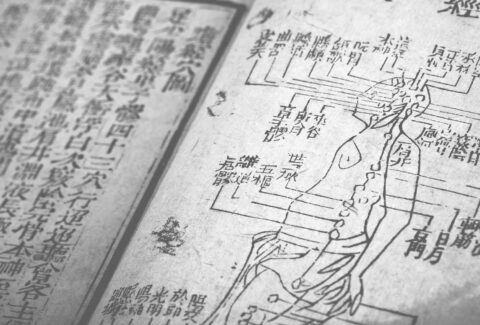 Medicina Tradicional China: Guía completa desde cero, centro de formación ISMET Barcelona
