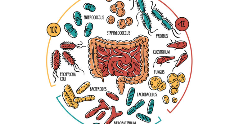 Test de microbiota y disbiosis soluciones nutricionales