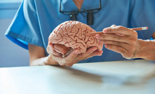 Suplementación y nutrición integrativa en neurología