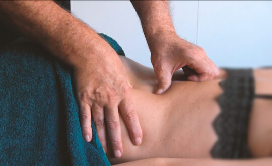 Taller práctico de casos clínicos de dolor crónico con terapia manual e integral, por el Dr. Jordi Sagrera