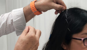curso craneopuntura Alfonso Delgado, ISMET Barcelona