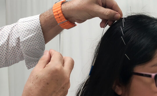 curso craneopuntura Alfonso Delgado, ISMET Barcelona