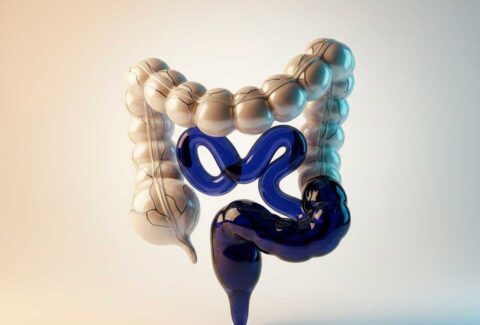 Webinar, la importancia del colon en tu salud