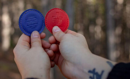 Biomagnetismo Para Qué Sirve